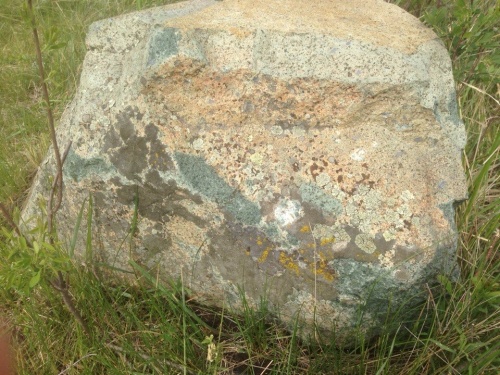 Гигантские зелёные валуны для ландшафтного дизайна весом более 5 тонн купить в Мурманске